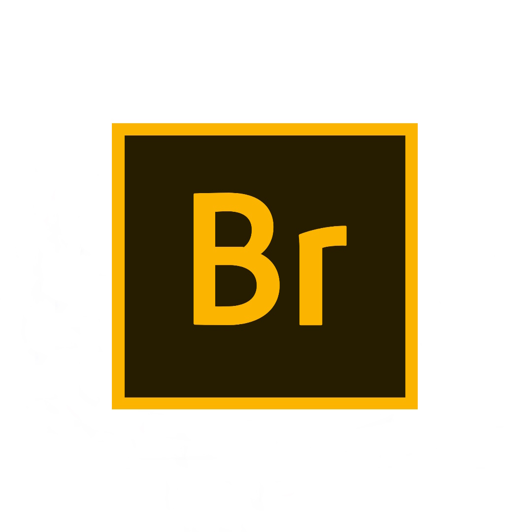 Licença Adobe Bridge por 1 ano